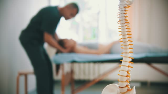 Chiropractic room with spine model
